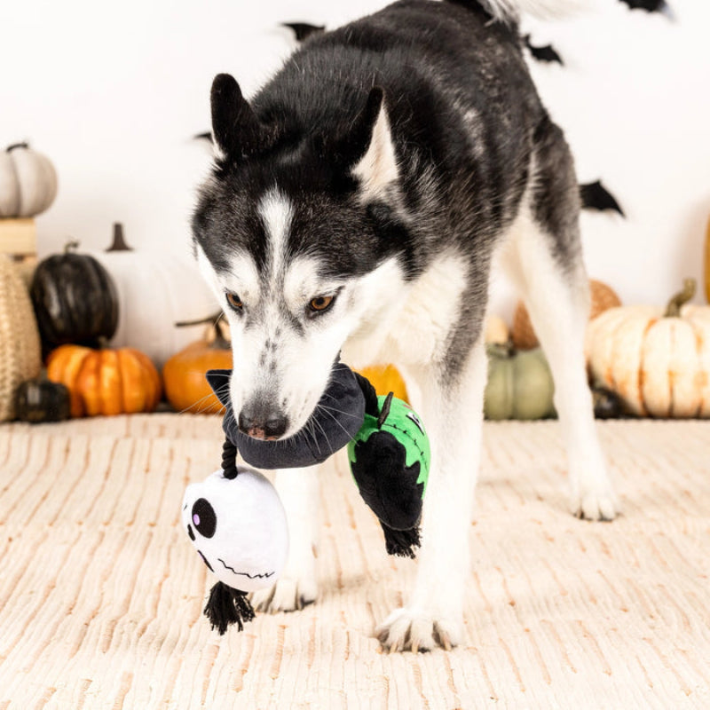 Halloween My Boo Crew Plush Squeak Rope Tug Dog Toy Set