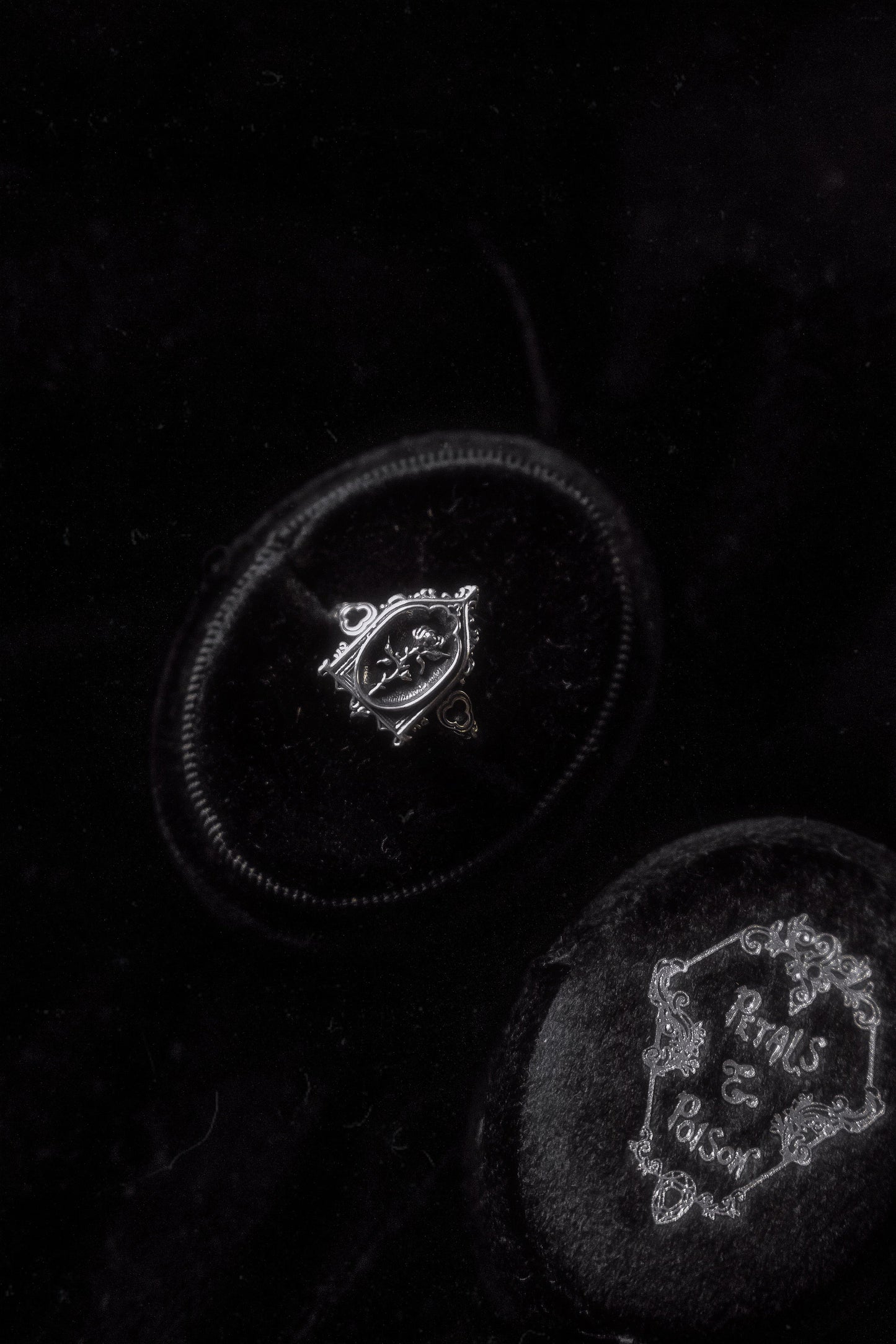 The "Lenore's Tomb” Curio Ring