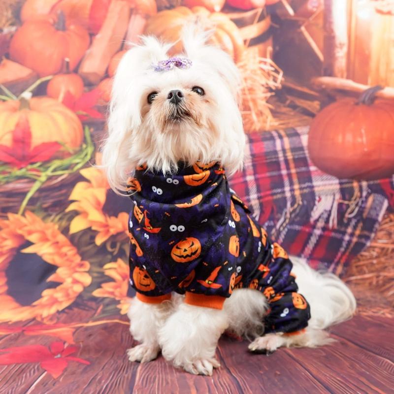 Halloween Pumpkins Print Pet Jumper