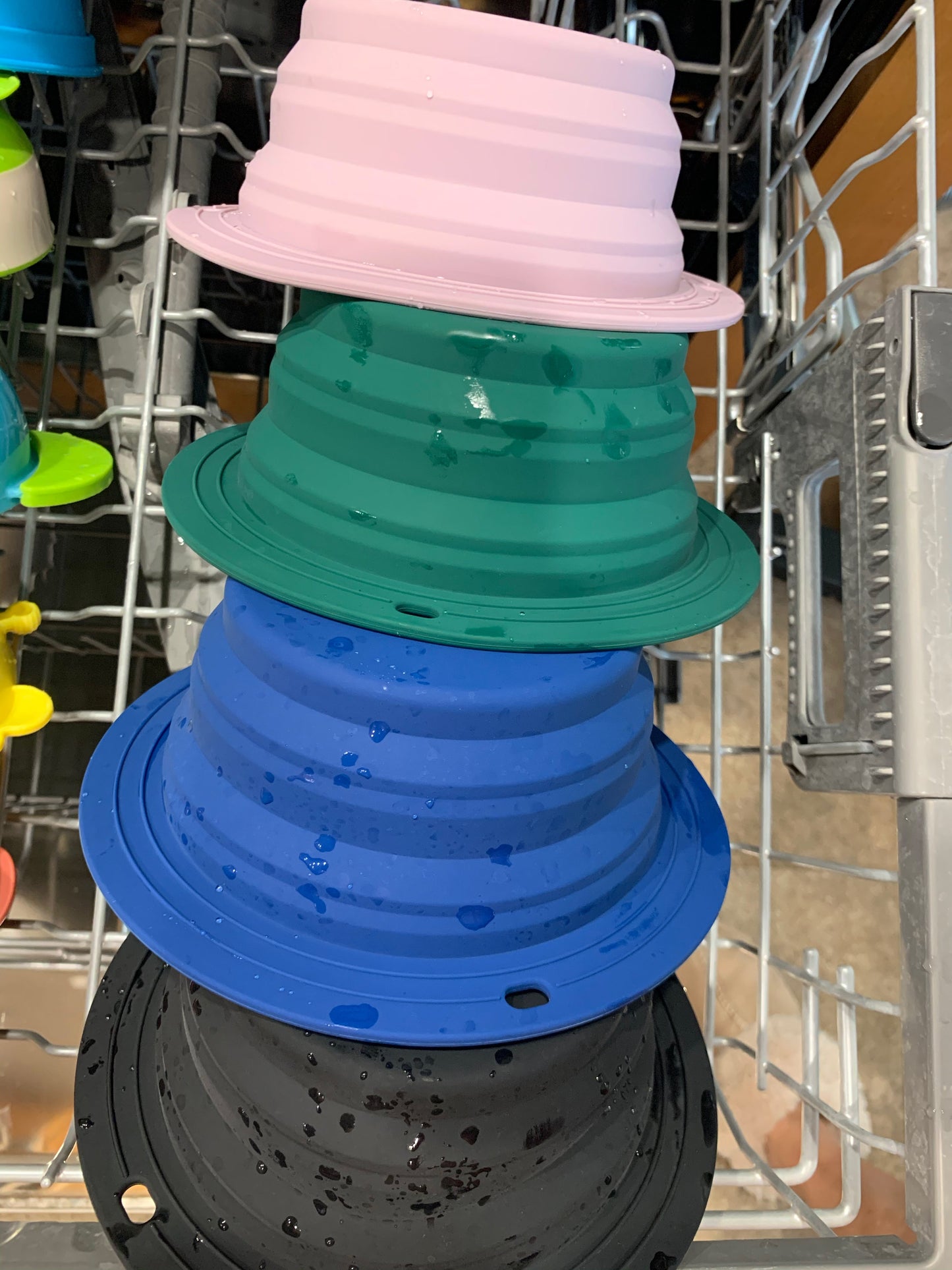 Black Collapsible Bowl for Travel or Home