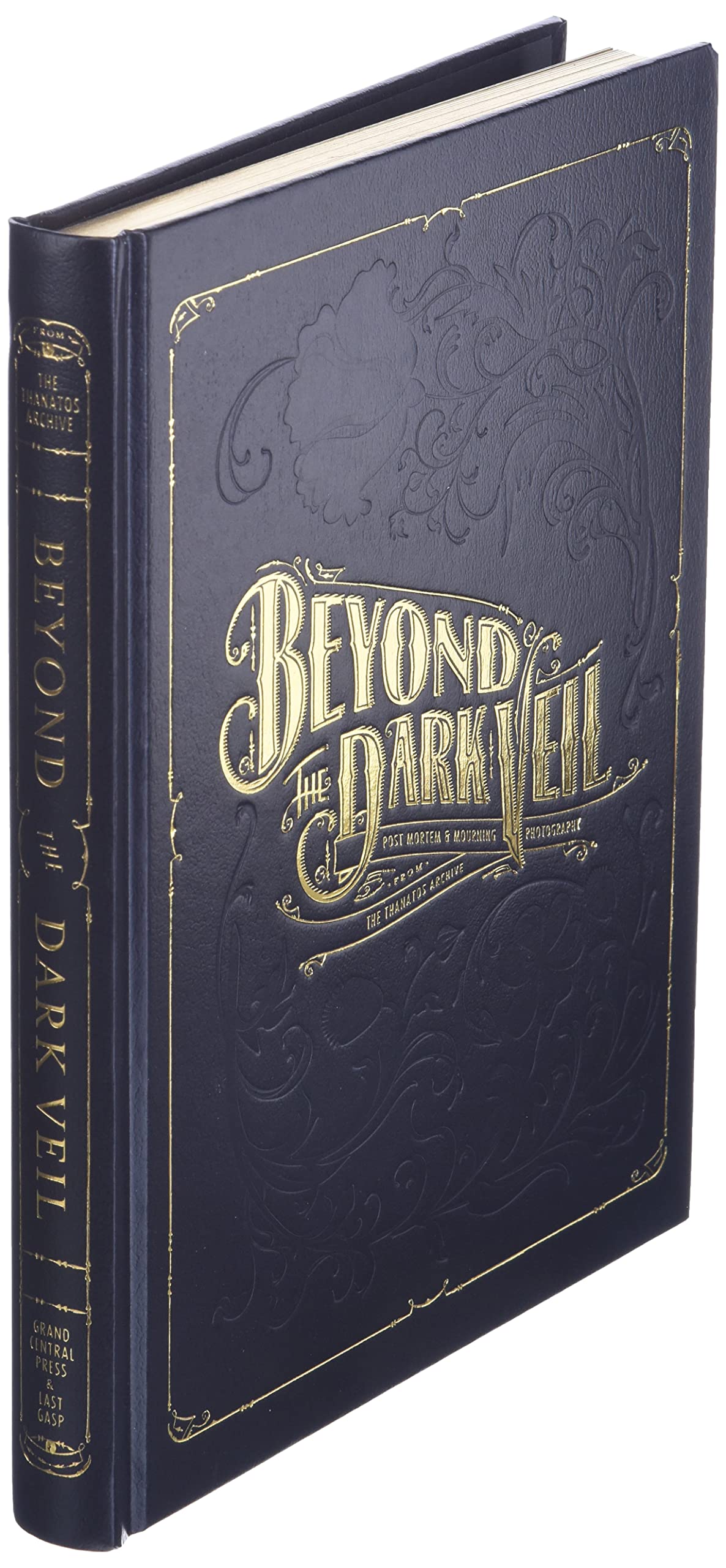 Beyond the Dark Veil Book