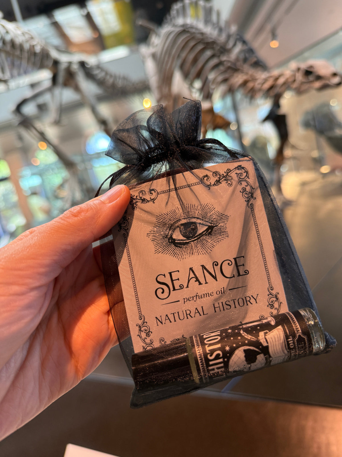 Natural History (old books &  black tea)