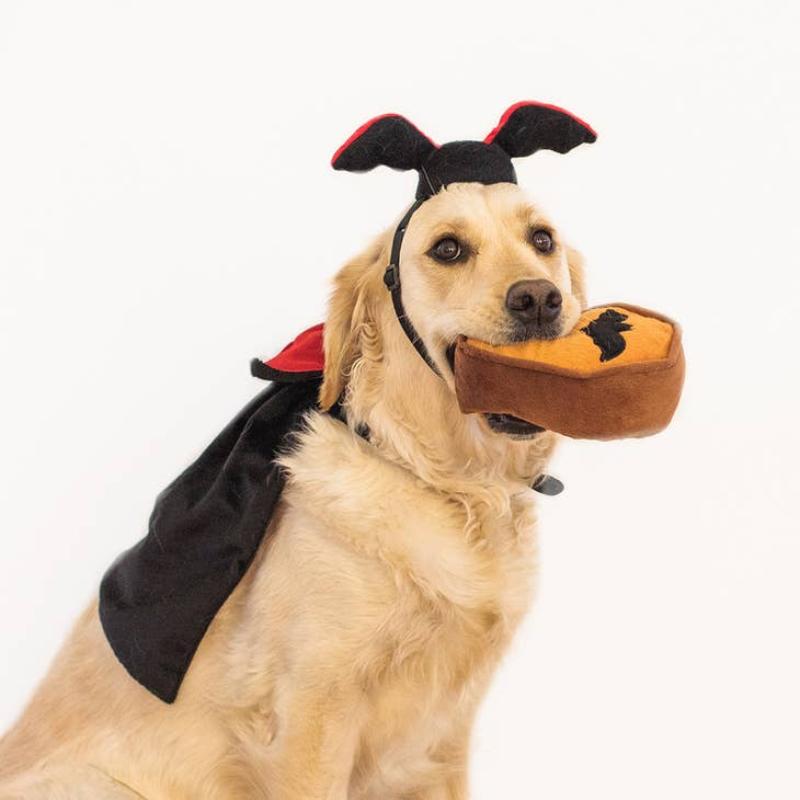 Halloween Pet Costume Kit - Dracula Dog Toy