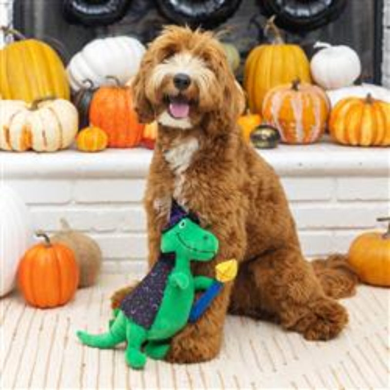 Spell-A-Saurus Rex Plush Squeak Dog Toy