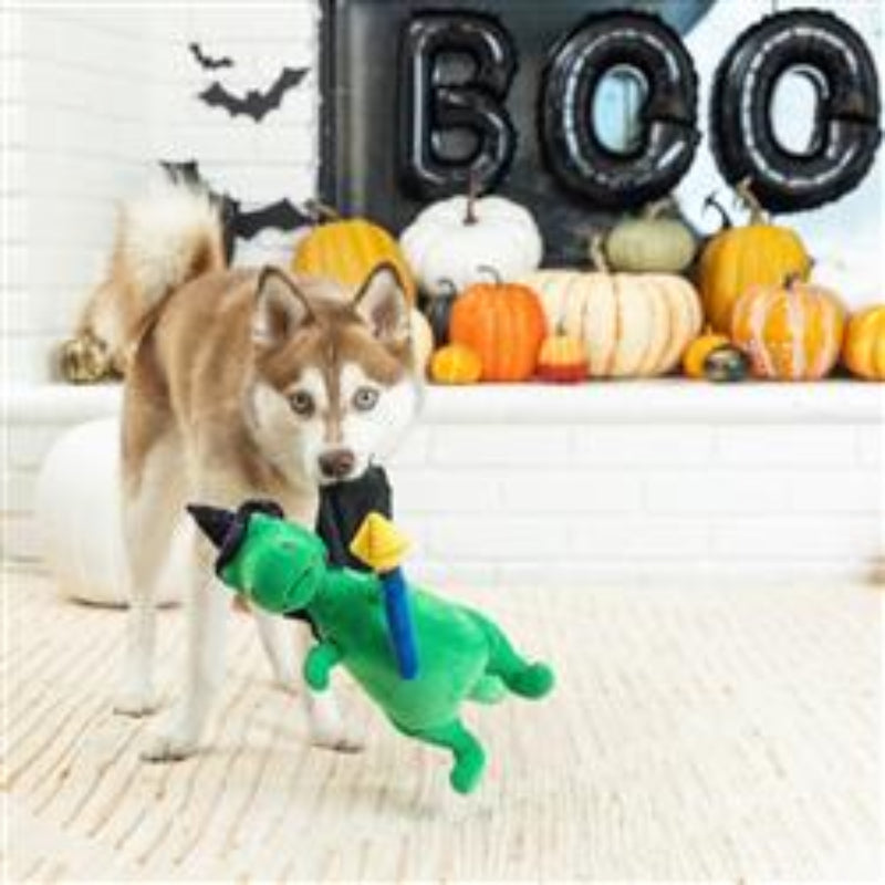 Spell-A-Saurus Rex Plush Squeak Dog Toy