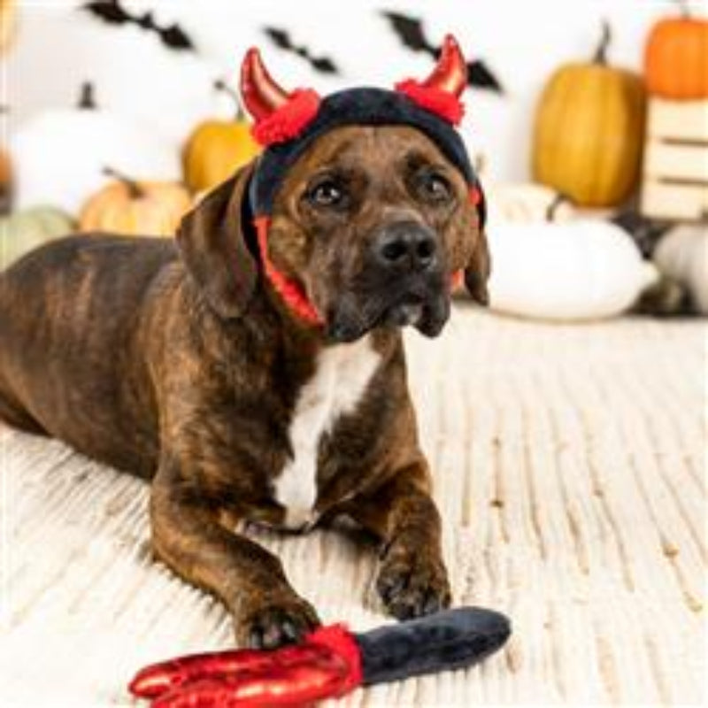 Cute lil Devil Dog Costume/ Play Set - 2 Pc