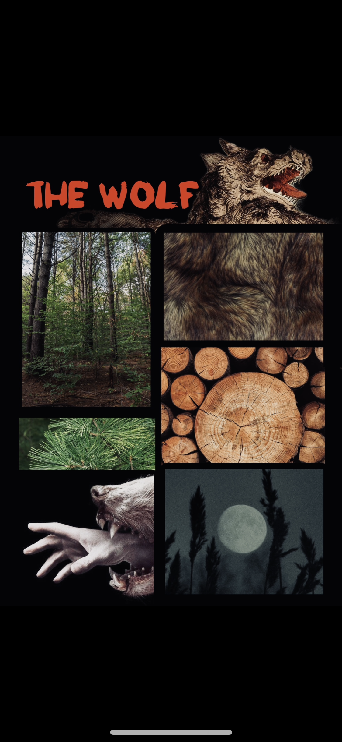 The Wolf (forest & musk)