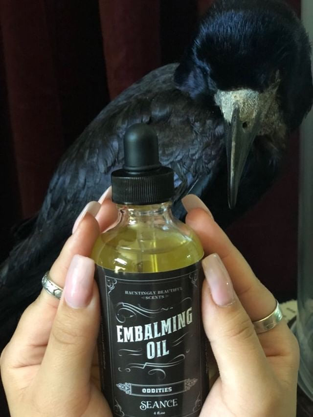 Oddities  - Embalming Lotion Oil - (amber, incense, jasmine)