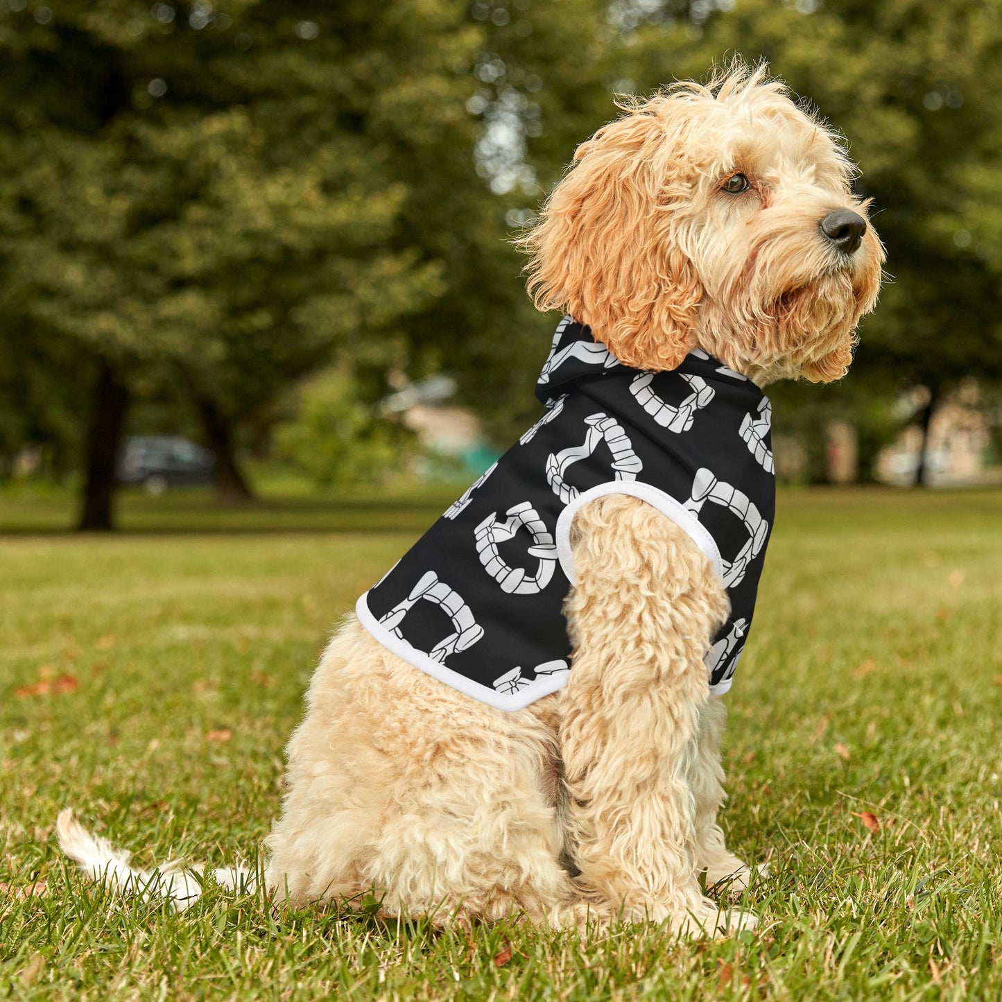 Vampire Teeth Pet Hoodie