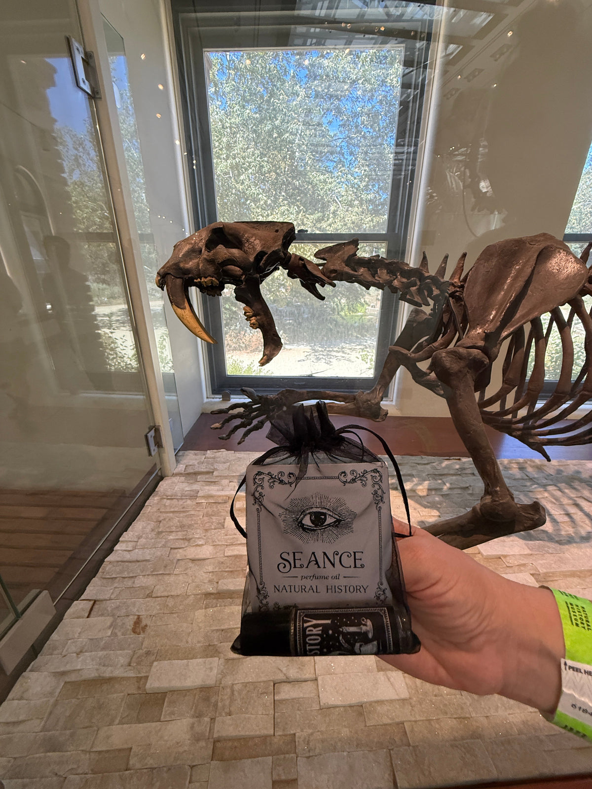 Natural History (old books &  black tea)