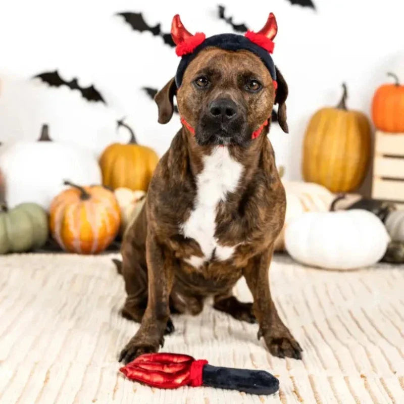 Cute lil Devil Dog Costume/ Play Set - 2 Pc