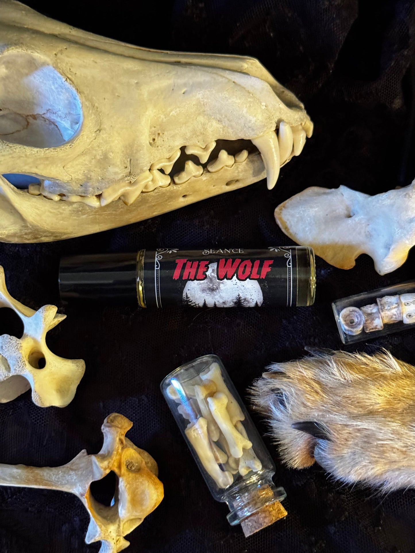 The Wolf (forest & musk)