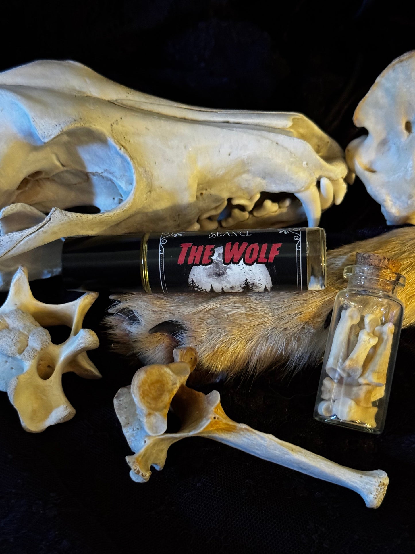 The Wolf (forest & musk)