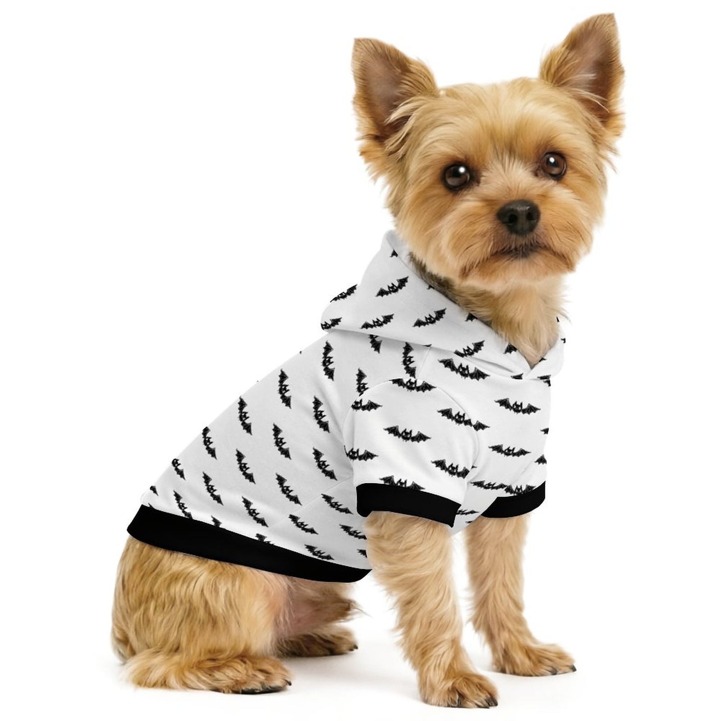 Kooky Bat Pullover Pet Hoodie - PRE ORDER