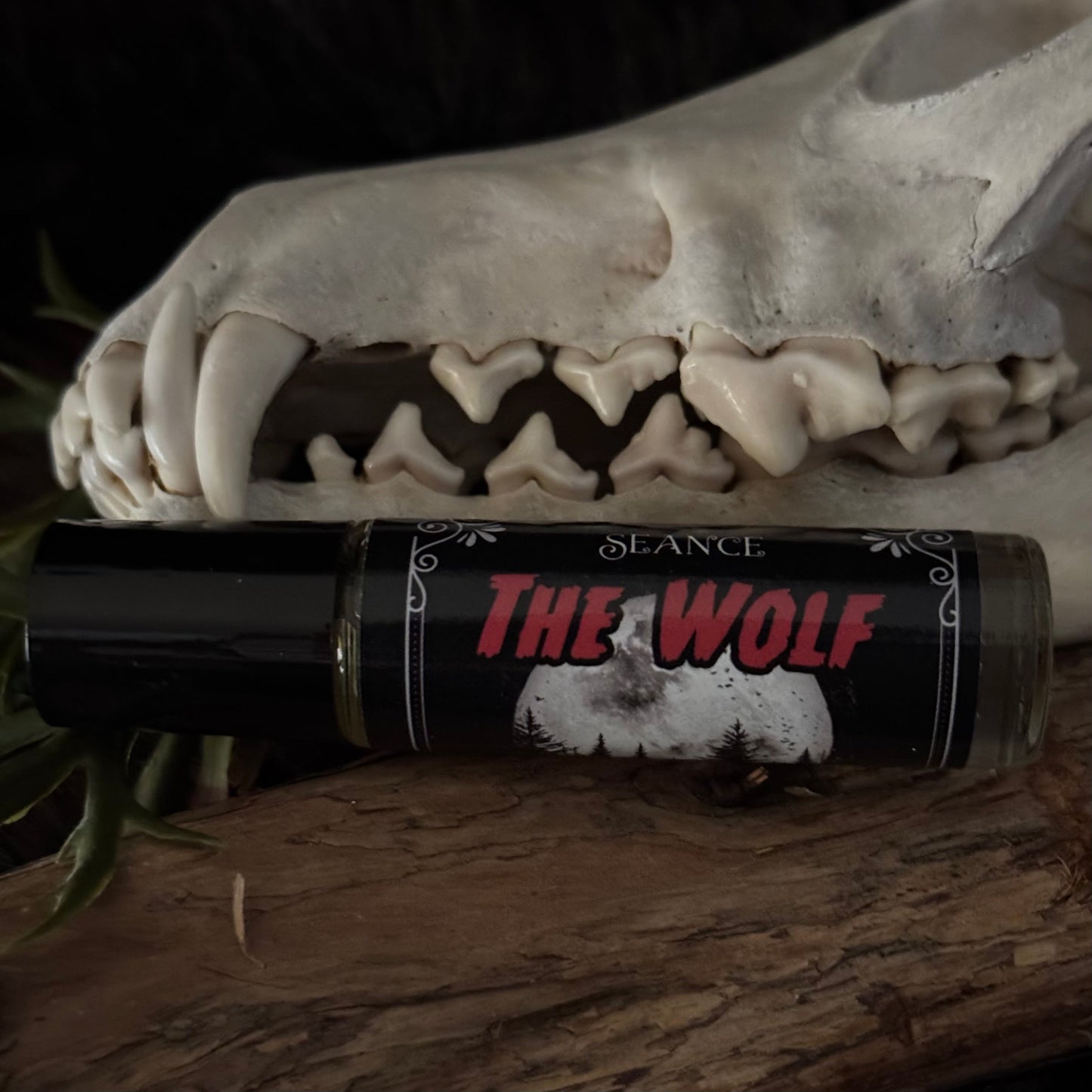 The Wolf (forest & musk)