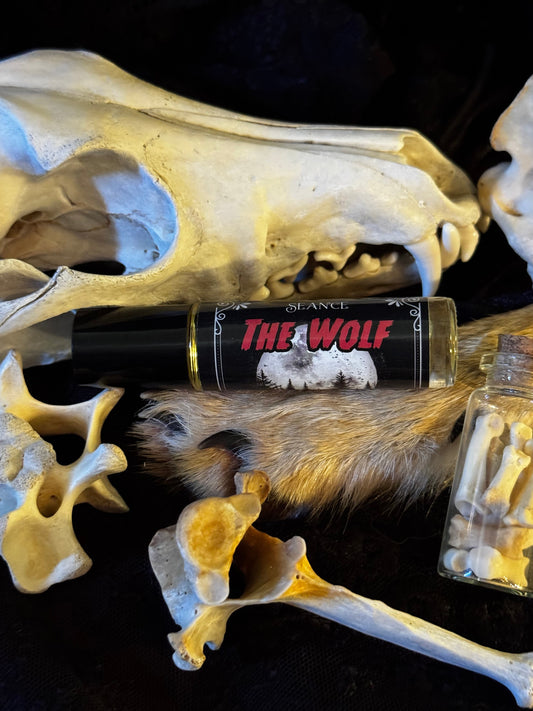 The Wolf (forest & musk)