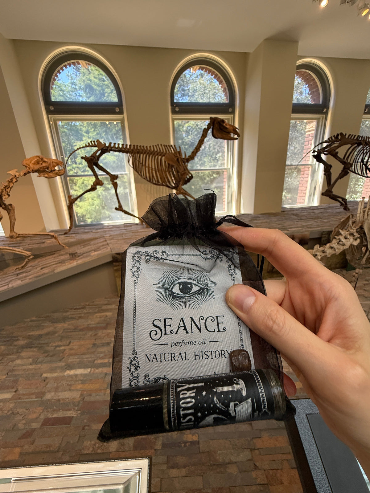 Natural History (old books &  black tea)