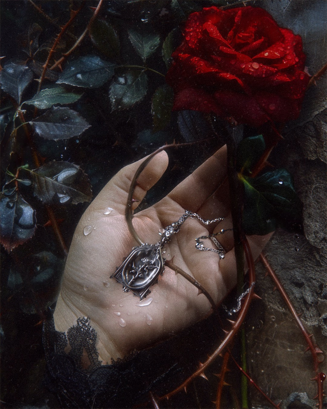 The "Lenore's Tomb” Curio Necklace