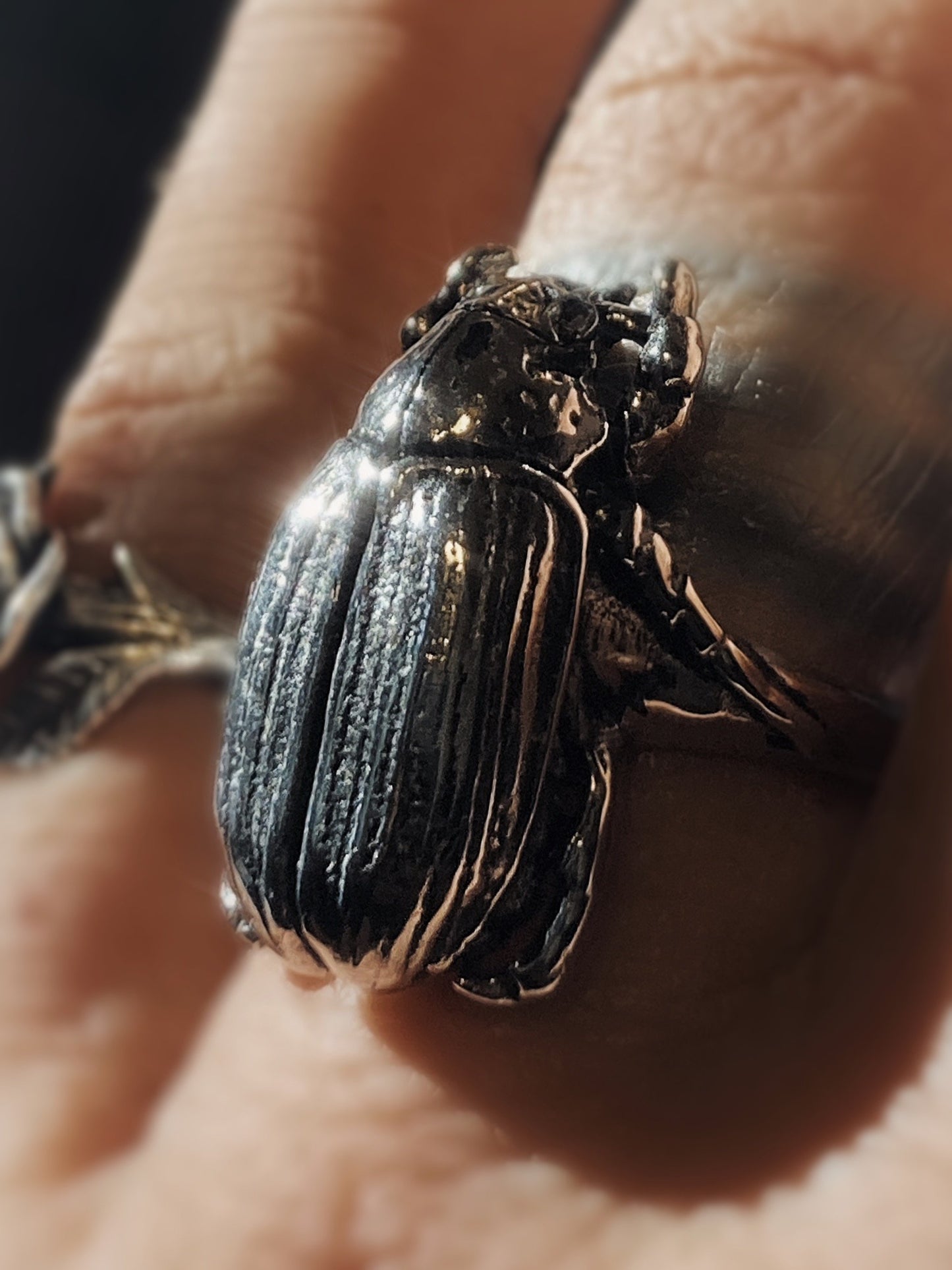 *NWOT* Beetle Ring in a US size 10