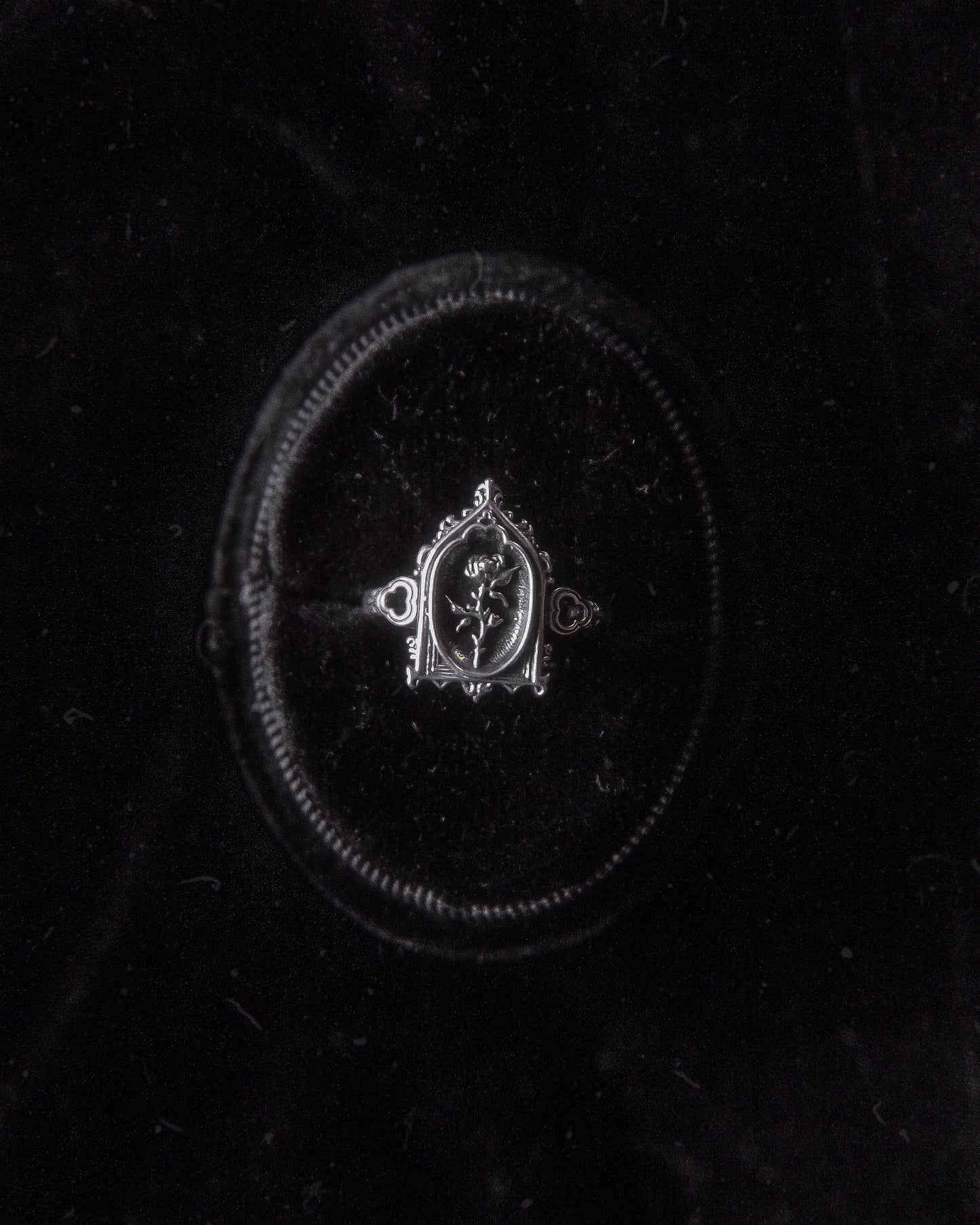 The "Lenore's Tomb” Curio Ring