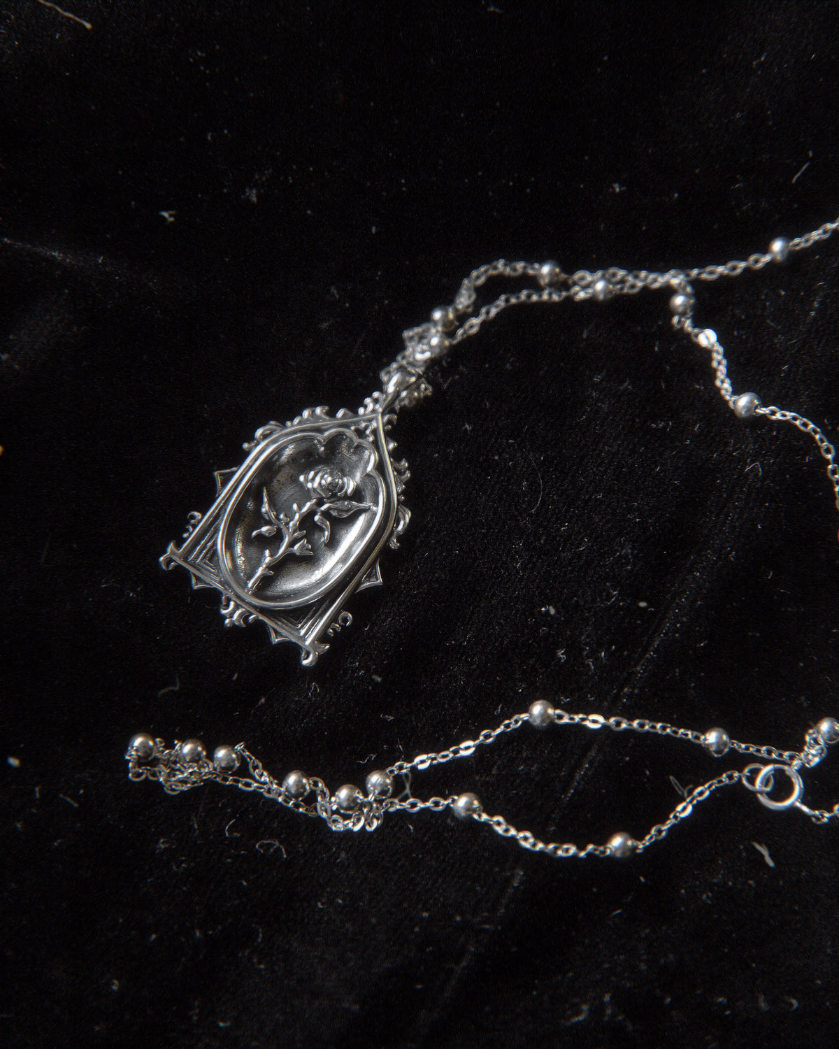 The "Lenore's Tomb” Curio Necklace