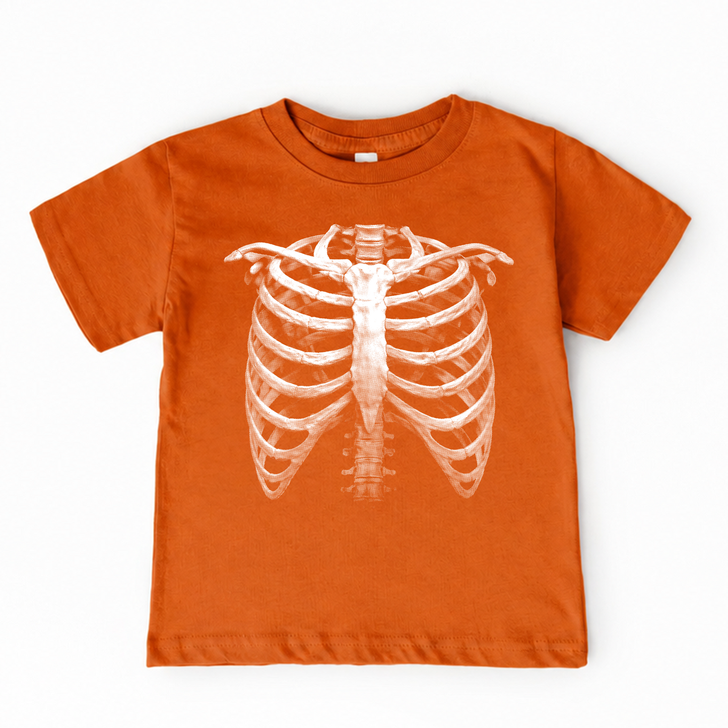X-Ray