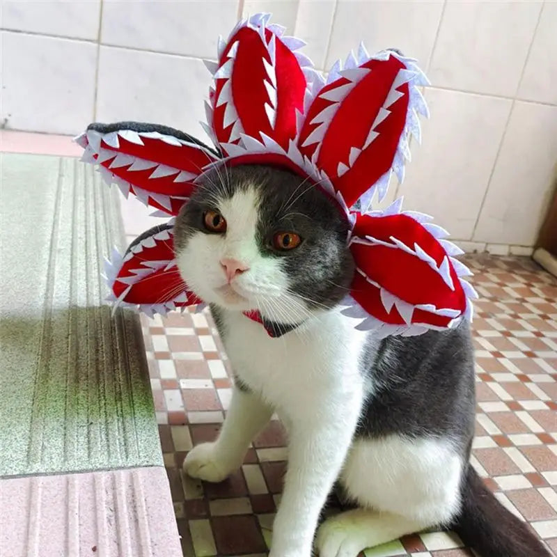 BHBD-Halloween Pet Hat Comfortable Vivid Animal Hat Clothing Pet Theme Dress Headdress Funny