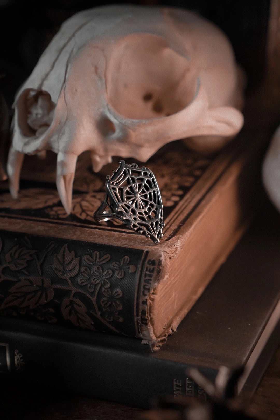 Arachne Ring (Adults)