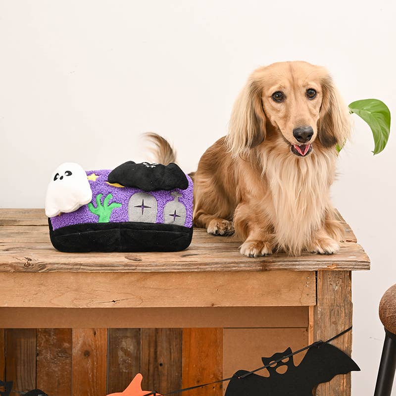 Howloween Night Horror Night Ghost and Bat Plush Dog Toy Set - 3 Pc