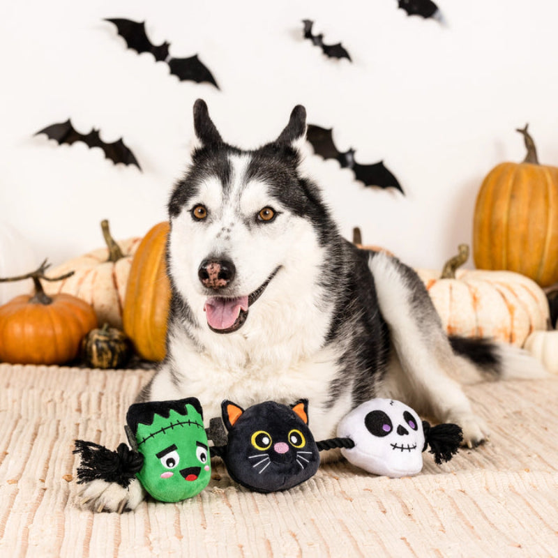 Halloween My Boo Crew Plush Squeak Rope Tug Dog Toy Set