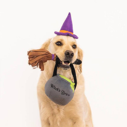 Halloween Pet Costume Kit Witch Dog Toy