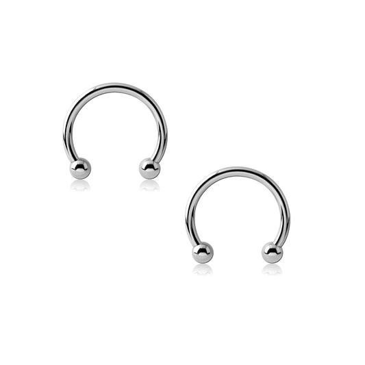 Standard Horseshoe Earrings