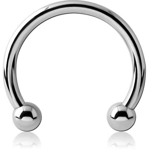 Standard Horseshoe Earrings
